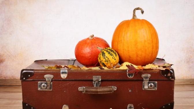 Are you traveling far for Thanksgiving to see family?