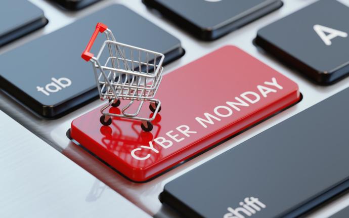 Are you going to go Black Friday shopping tomorrow?