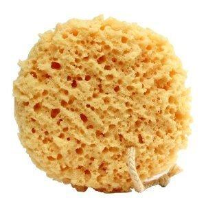 Do you use sponge for bath/shower? What type?