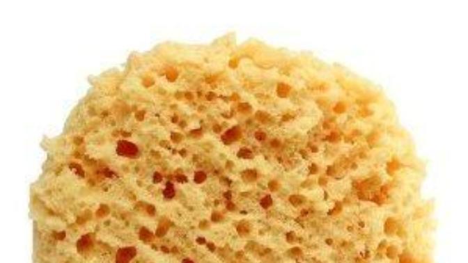 Do you use sponge for bath/shower? What type?
