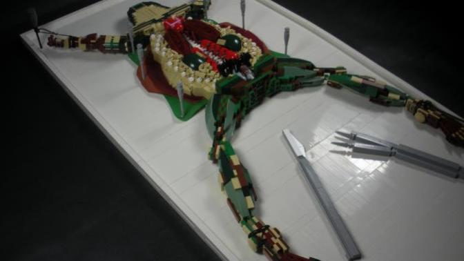 When was your initial frog dissecting experience and did it teach you anything?