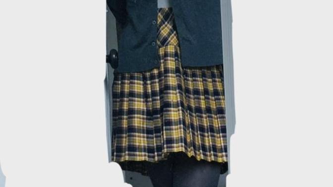 Vivant’s Closet (Skirt) : Should I Stay or Should I Stay or Go?