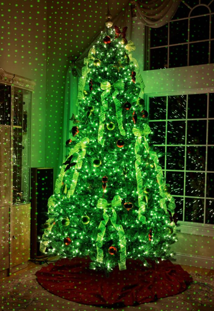 What colour are your Christmas lights on your tree?