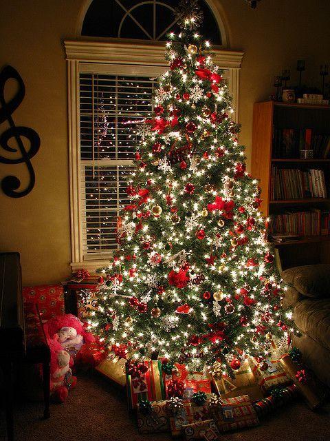 What colour are your Christmas lights on your tree?