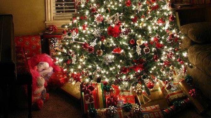 What colour are your Christmas lights on your tree?