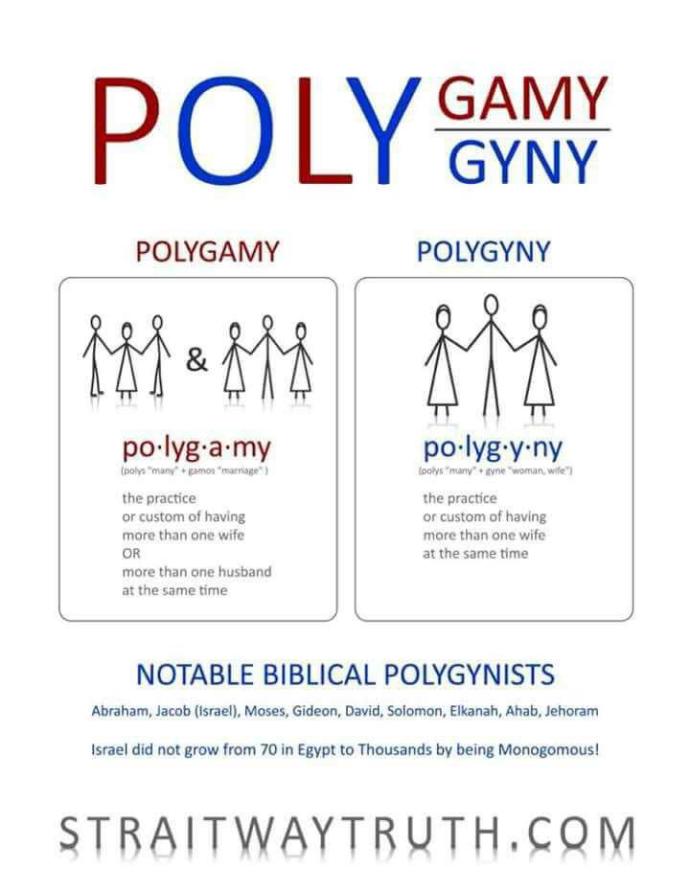 What do you think of polygyny?