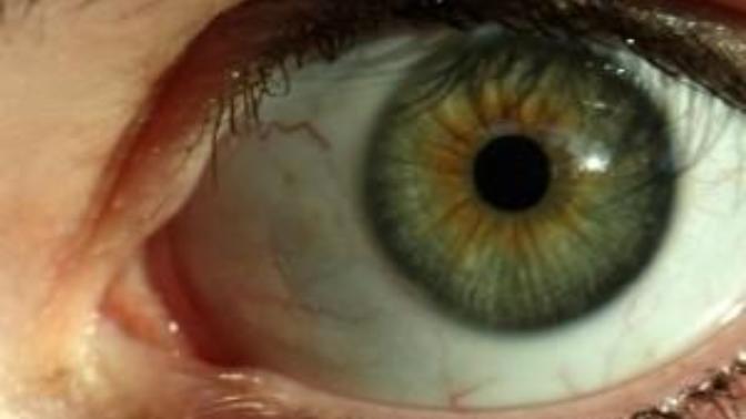 All three eye colors in one thoughts?