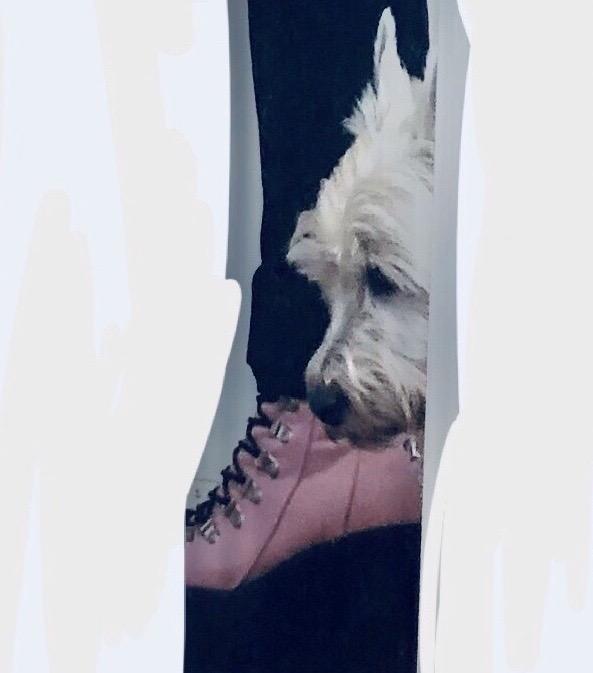 I think the Pink on purple maybe not great π π π€·ββοΈπ€’