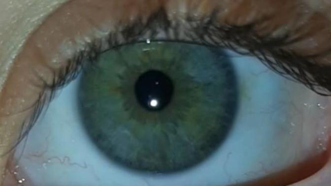 Do you like the color of my eyes?