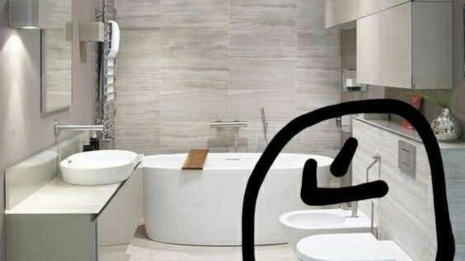 What is this thing called (next to the toilet) in this picture?