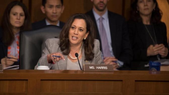 Do you think it's silly the Left is blaming Kamala Harris dropping out on racism and sexism?