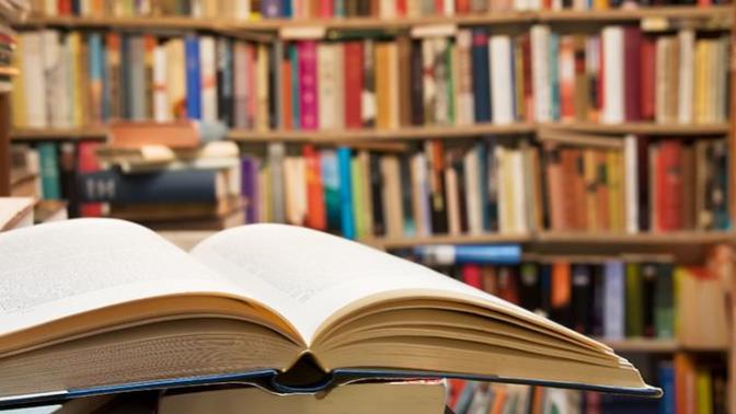 How often do you visit the library?