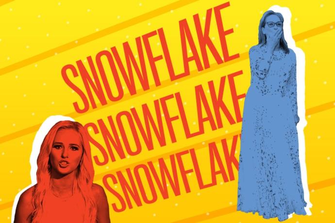 How offensive is it to call caucasians snowflake?