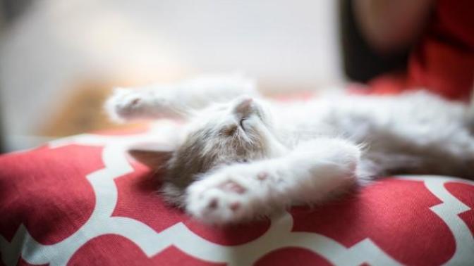How often do you full-body stretch?