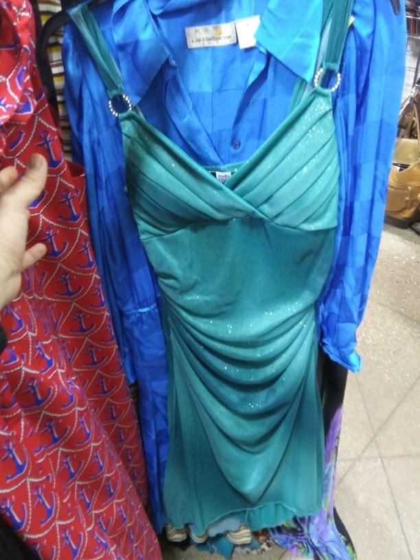 Which dress from Goodwill do you find the most interesting?