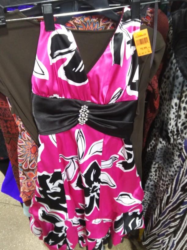 Which dress from Goodwill do you find the most interesting?