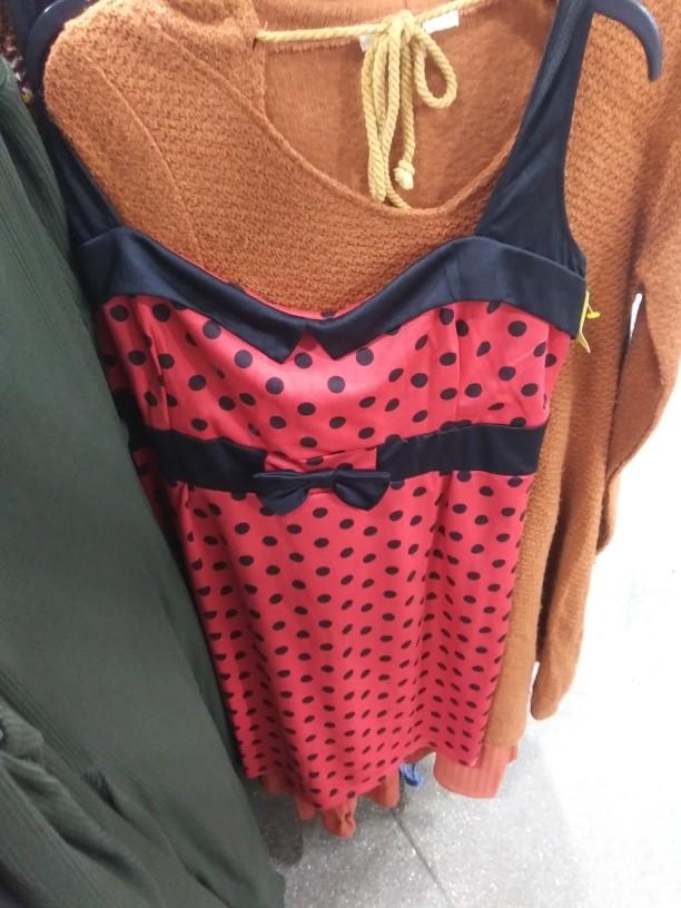 Which dress from Goodwill do you find the most interesting?