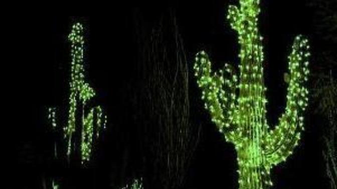 What do your Christmas trees/lights look like?