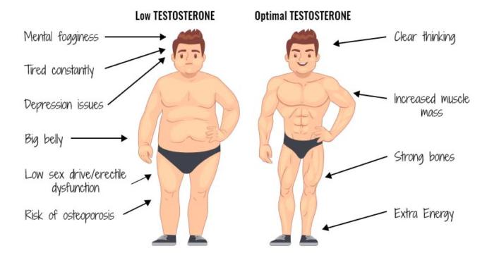 Should men have their testosterone levels checked annually?