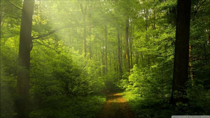 Whats your ideal dream/physical environment?