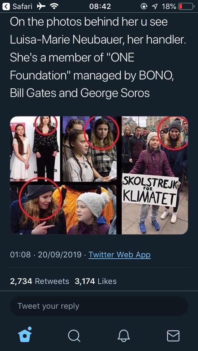 Is Greta Thunburg a fraudulent hacktivist that is being used as a political pawn by the left and maintain media or is she an actual hero?