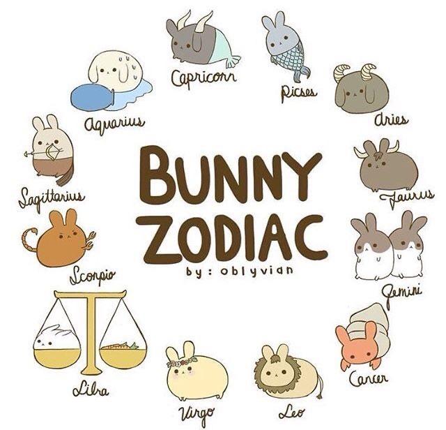 How do you feel about zodiac signs compatibility?