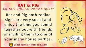 How do you feel about zodiac signs compatibility?