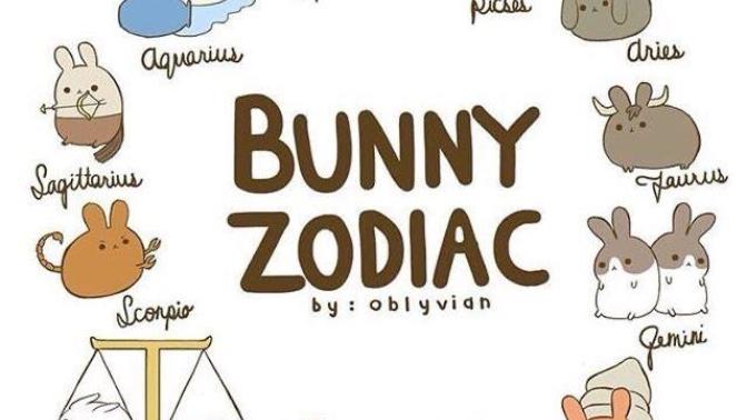How do you feel about zodiac signs compatibility?