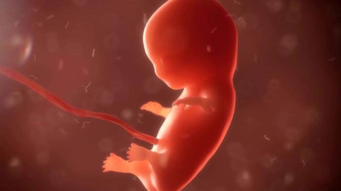 People who support abortion are disgustingly evil, yes or no?