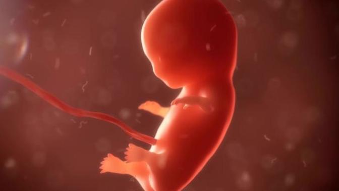 People who support abortion are disgustingly evil, yes or no?
