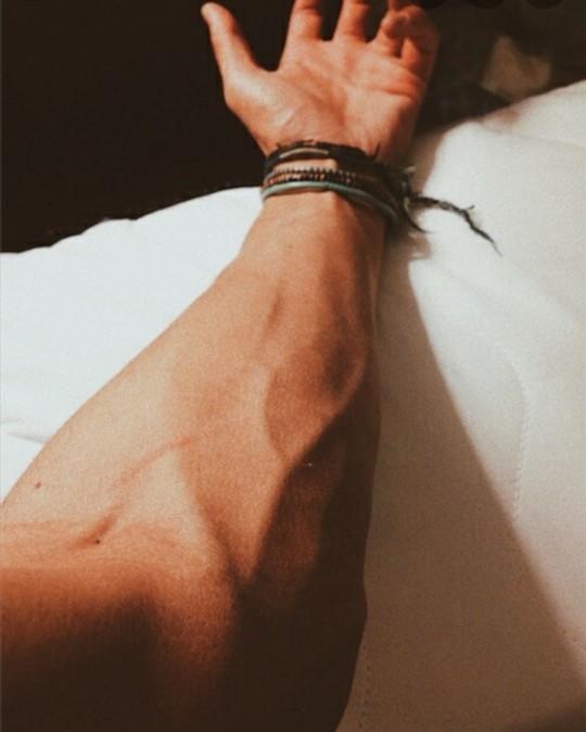 Why do you find veins attractive and what does it mean to you?