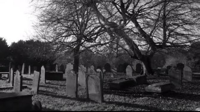 How can I get more views on my paranormal series?