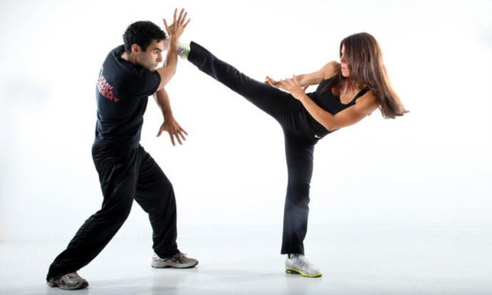 If you wanted to learn one martial art or set of combat techniques, which one or which kind would it be?