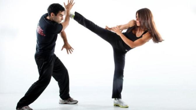 If you wanted to learn one martial art or set of combat techniques, which one or which kind would it be?