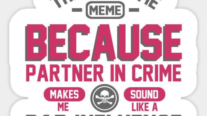 Girls or Guys what is your ideal partner like?