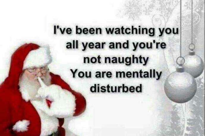 Santa texted me and wants to know... have you been NAUGHTY or NICE this year?
