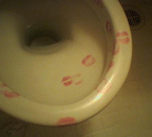 What is it with people and their toilets?