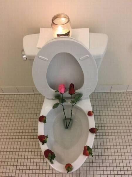 What is it with people and their toilets?