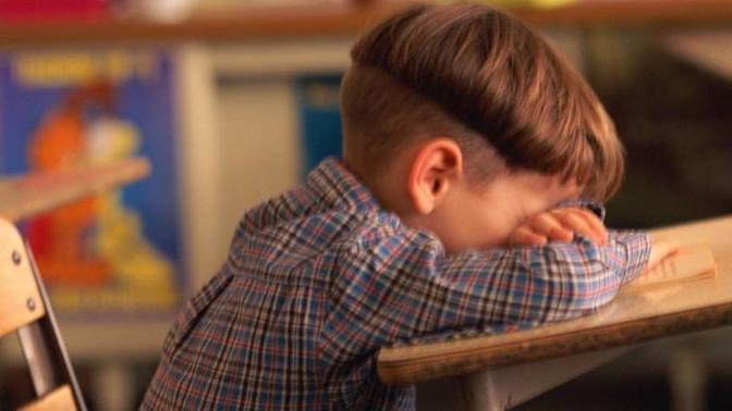 A teacher loses her job because she tells the kiddies that Santa Clause is not real. Do you think she should have lost her job?