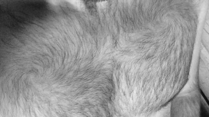 If a man closely trims his body hair?