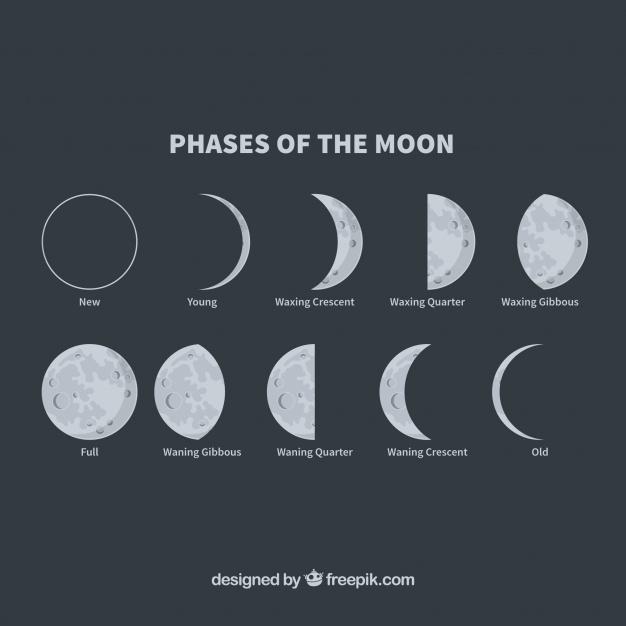 Which is your favorite moon phase?