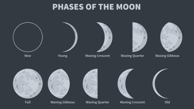Which is your favorite moon phase?