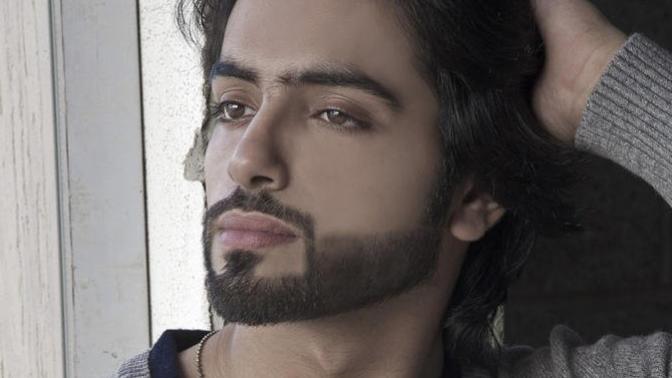 Which beard should I grow?