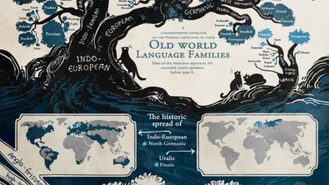 Is being a multilingual a positive attribute socially?
