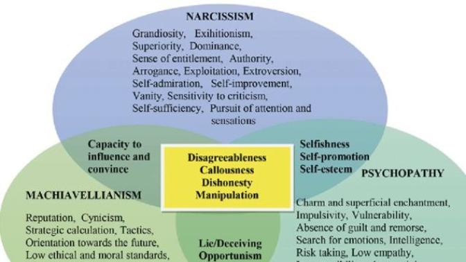 Does the narcissist cause more problems?