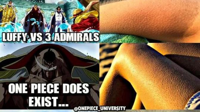 Does anyone have a clue about how one piece gonna end?
