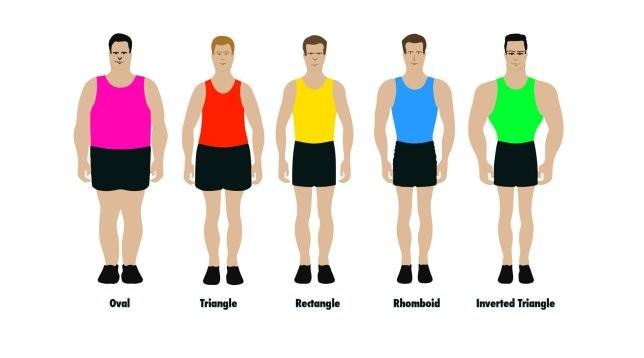 Which body types looks the best on men?
