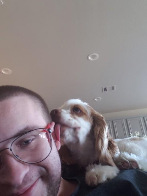 Do you have pets?