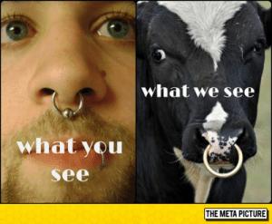 What type of pain should I expect for septum and nose piercing?