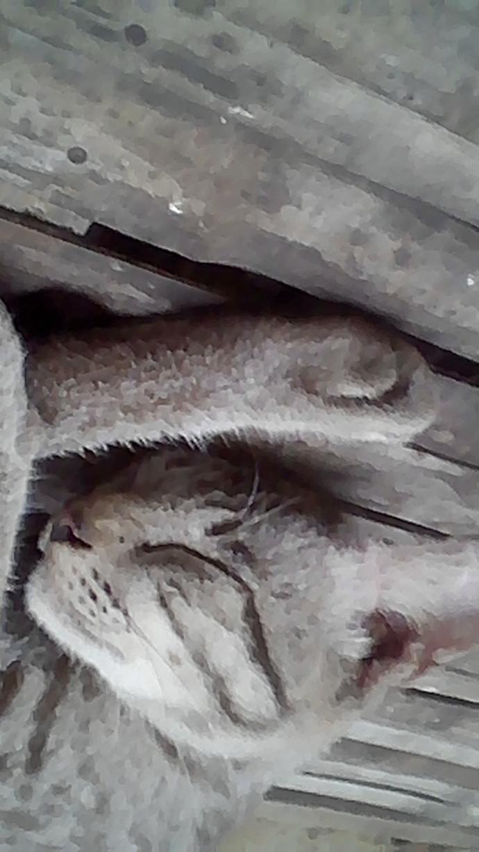 What is the lowest quality camera you used to take a picture?